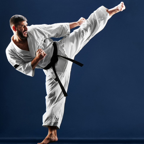 Read more about the article Karate